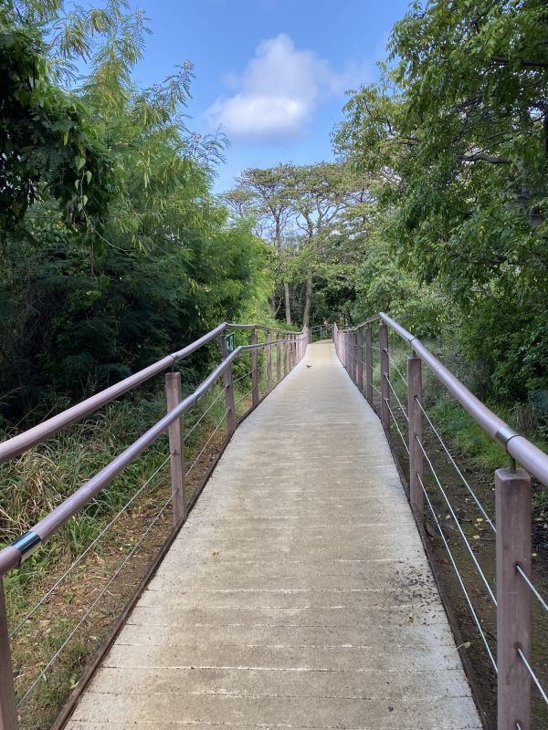 Walkway Replacement detail